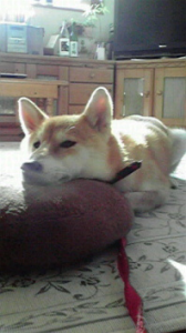 ☆恥ずかしいな…もぅっ(* ≧m≦*) 画像2