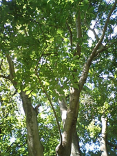 公園でゆっくり 画像1