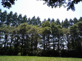 公園でゆっくり
