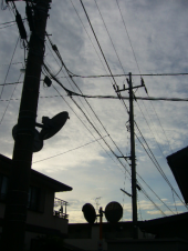 晴れ 画像1