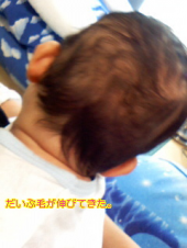 あかあかと　日は難面（つれなく）も　秋の風 画像1