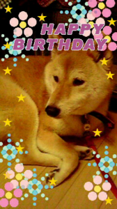 ☆(*ﾟ▽ﾟ)/ﾟ･:*【祝】*:･ﾟ＼(ﾟ▽ﾟ*) 画像1