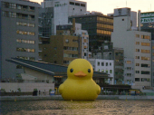 巨大アヒル正面から 画像3