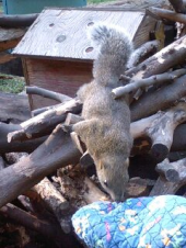 パソコンサポート 画像1