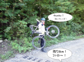 山中を自転車で彷徨う 画像3
