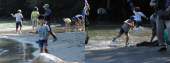 ★小浜海岸で観察　：３日目（おわり） 画像2