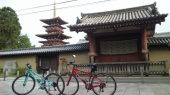 薬師寺 画像1