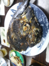 再会・再開。 画像3