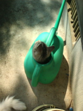 がんばった 画像1