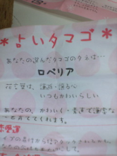 観察日記【1日目】 - 種まき 画像2