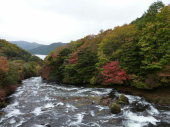 自由－⑥ (栃木でコストコ??) 画像3