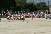 小学校　初運動会！ 画像1