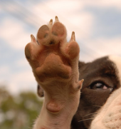 雨の夜は 画像2