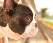 雨の夜は 画像3