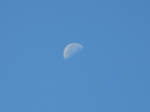朝の月。 画像1