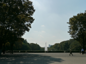 天気が良いので 画像3