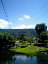 痩せました 画像1