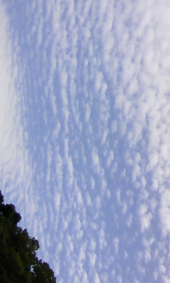 うろこ雲 画像1