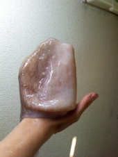 たこたこたこらぁ 画像3