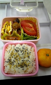 2009年11月3日 画像2