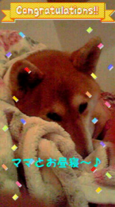 ☆癒しスポット(^^) ρ(^^)ノ 画像2