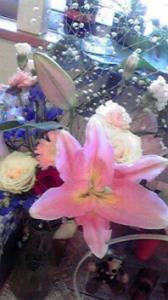 ☆ナンデコウナルノ??? 画像1