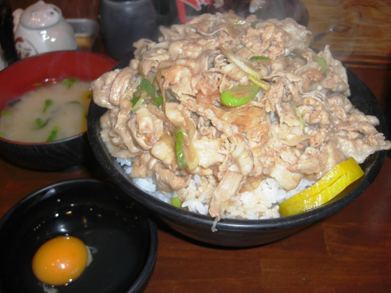 すた丼 増し増し 健康管理カラダカラノート