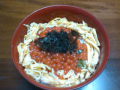 215日目（気持ち良い休日）