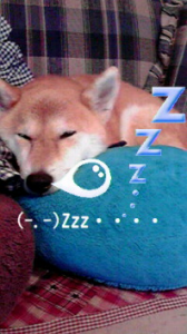 ☆寝ぼすけ母ちゃん・・・ｗ 画像1