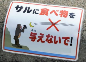 がつがつ！ 画像1