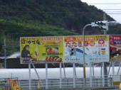 ケンピ 画像1