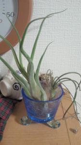 病院へ 画像2