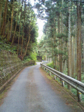 １週間ぶり・・・ 画像1
