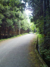 １週間ぶり・・・ 画像3