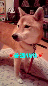 ☆v(≧∇≦)v イェェ～イ♪ 画像1