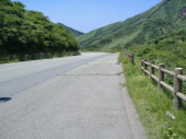 帰ってきた。 画像1