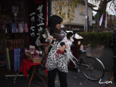 京都旅行　＆ジョギングはお休み４４日め 画像3