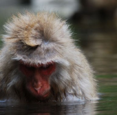 危うく・・・ 画像1