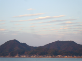 むすめ 画像1