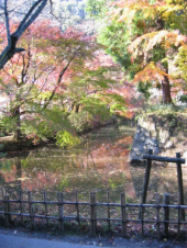 下見 画像1