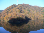 東丹沢トレイル　無事完走♪ 画像3