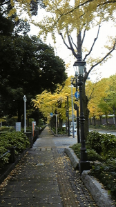 サボり。 画像3