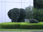 どれもこれも 画像3