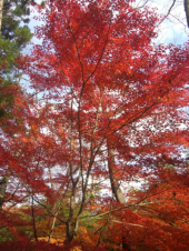 岡山 → 大坂 画像2