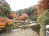 なんとか復活・・☆ 画像1