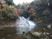 なんとか復活・・☆ 画像2