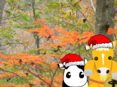 帽子 update 画像2
