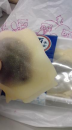 おやつ１