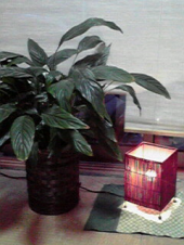 ☆すっぴんDAY ☆ 画像1