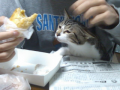 243日目（かゆかゆ・・・）